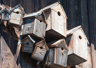 Vogelhäuschen