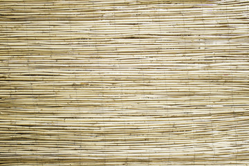 Bamboo Wood