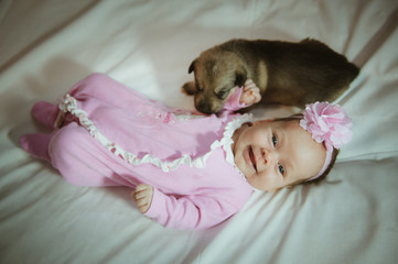 Image of cute little girl in pink suit and puppies on white