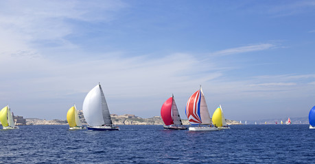 sailboat race