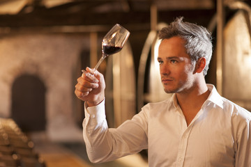 professional winemaker examining a glass of red wine in a tradit