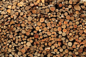 Peel and stick wall murals Firewood texture fire wood as nice background