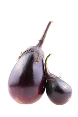 violet eggplant vegetable