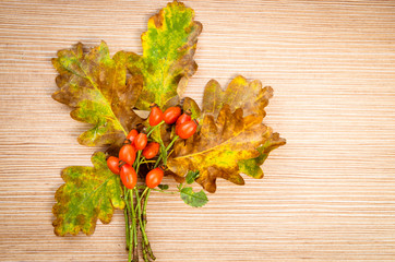 autumn background