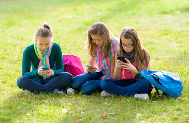 Teen girls on grass, using their mobile phones