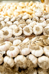 Aglio bianco in treccia