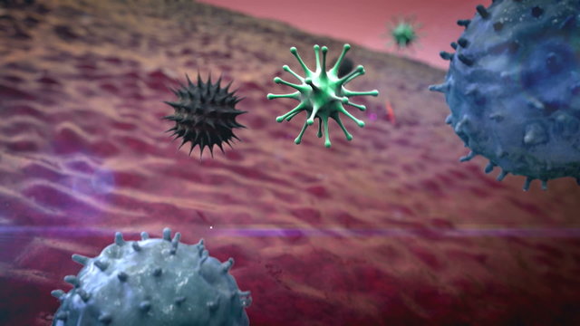 Coronavirus atack the lungs cell