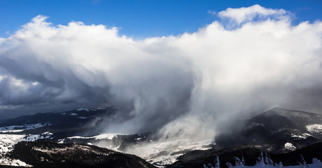 Winter trees in mountains covered with fresh snow