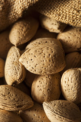 Raw Unshelled Organic Almonds