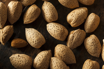 Raw Unshelled Organic Almonds