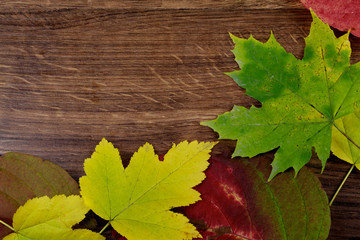 Naklejka na ściany i meble Autumn leaves on old wooden background