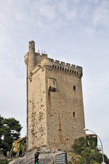 Fototapeta na wymiar Villeneuve Les Avignon - la torre di Filippo il Bello