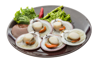 Raw fresh scallop