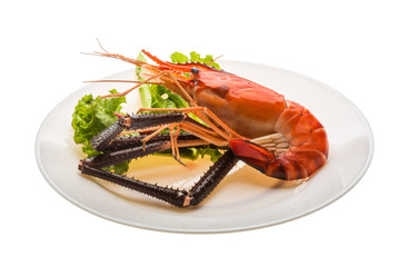 Giant Freshwater Prawn