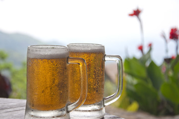 Two Mugs of Chilled Beer