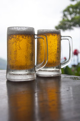 Two Mugs of Chilled Beer