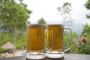 Two Mugs of Chilled Beer