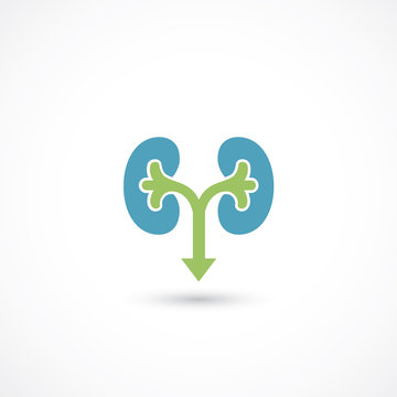 Kidneys symbol