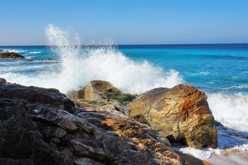 Ocean