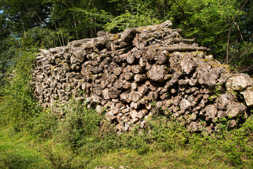 Pile of prepared firewood, France