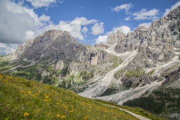 Fototapeta na wymiar Dolomites vision of Mount Mulaz among the flowers