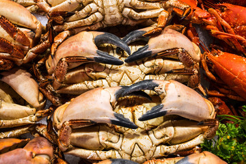 Seafood for sale in Trouville fish market in Normandy France