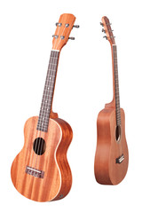Fototapeta na wymiar hawaiian guitar