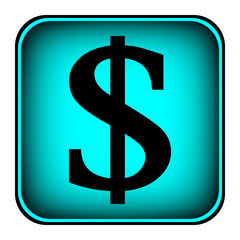 Dollar button on white