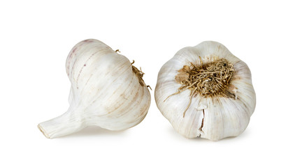 Garlic on white background