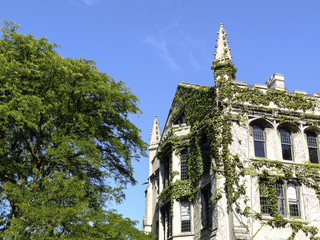 University of Chicago Campus © Jannis Werner