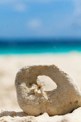 Rest in Paradise - Malediven - Stein im Sand