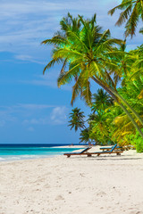 Rest in Paradise - Malediven - Liegen und Palmen am Strand