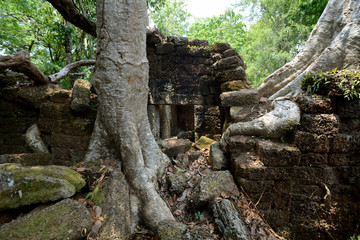 ASIA CAMBODIA ANGKOR TA PROHM