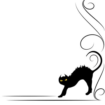 Gatto nero