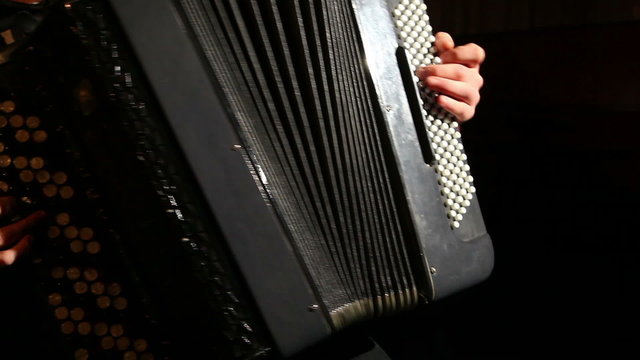 man plays the accordion 2