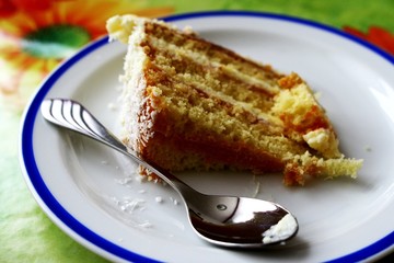 Sponge pastry birthday cake with coconut powder on plate