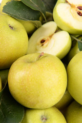 Ripe green apples close up