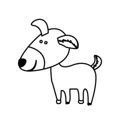 Animal design