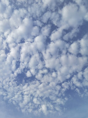 Fototapeta premium Clouds in the sky