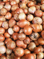 Onions in a box at the greengrocer on the market place