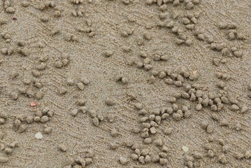Sand and Stone Wallpaper on the beach