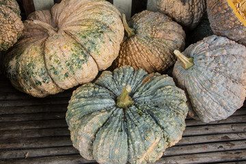 Autumn pumpkins with leaves on wood 