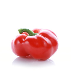 pepper on white background