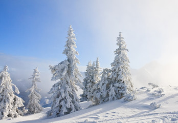 Fototapeta premium Mountain landscape. Schladming. Austria