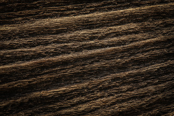 wood texture background