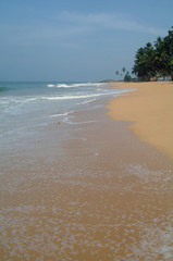 Picturesque  tropical beach. Sri Lanka