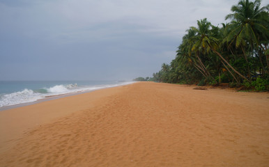 Picturesque  tropical beach. Sri Lanka
