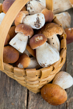 boletus mushrooms in a basket on wooden surface