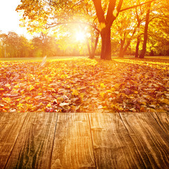 autumn background golden