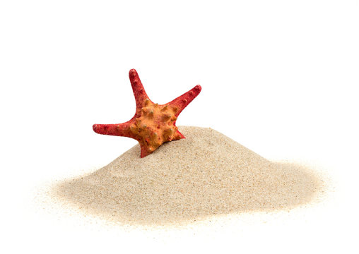 starfish on sand isolated on white